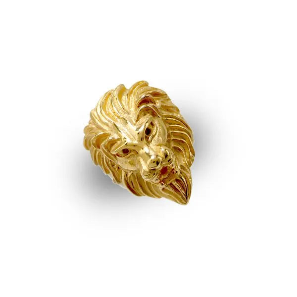 ANELLO 001
